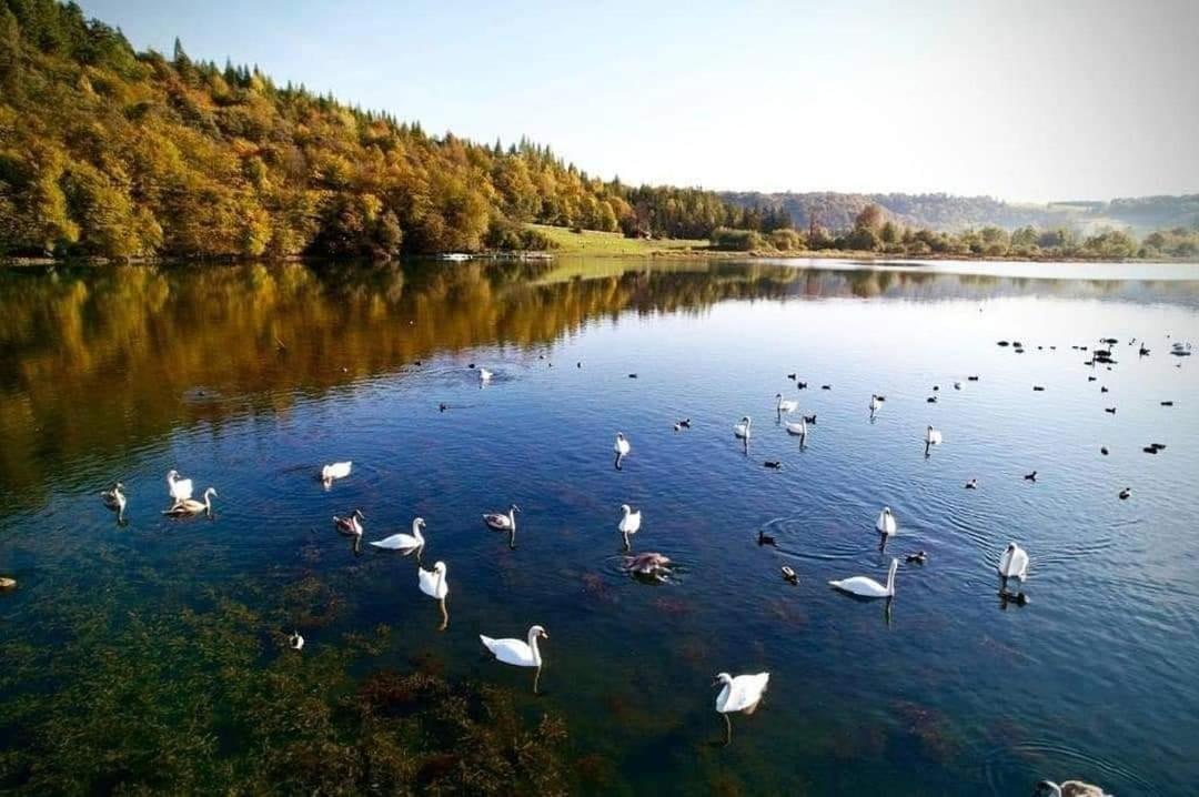 Domki Solina Roza Wiatrow المظهر الخارجي الصورة